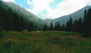 Słowackie Tatry. Zaginął 54-letni Polak. Ratownicy proszę o pomoc