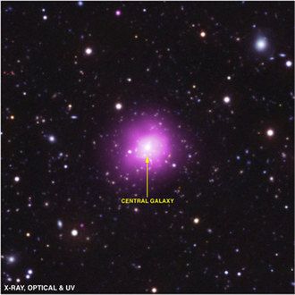 Centralna galaktyka gromady Feniksa (Fot. NASA)