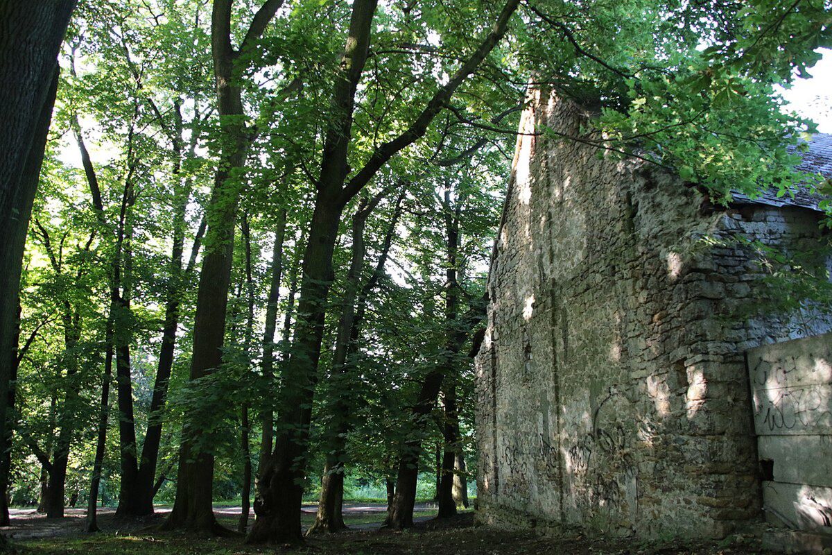 Park Pałacowy w Kościelcu
