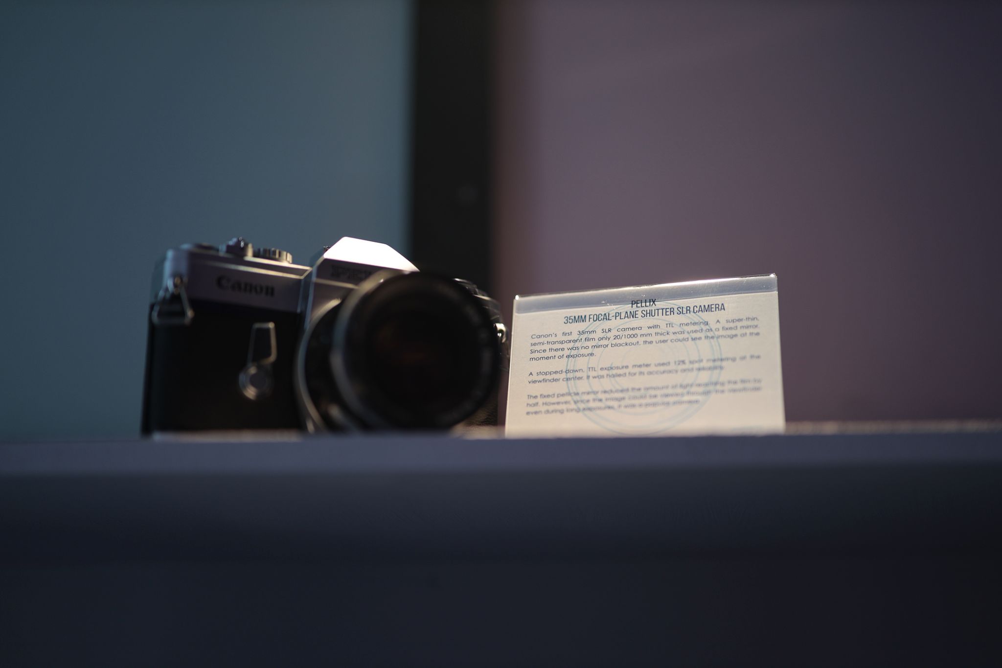 Canon EOS R w naszych rękach. Pierwsze wrażenia i zdjęcia przykładowe 7