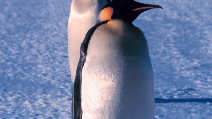 Gdzie jest najczystsze powietrze na Ziemi?