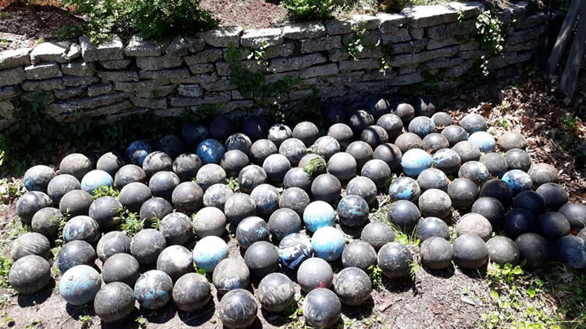 Właściciel posesji przecierał oczy ze zdumienia