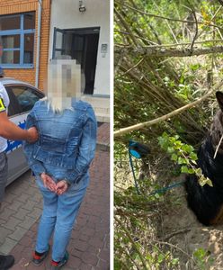 Skazała psa na katusze. Grozi jej 5 lat więzienia