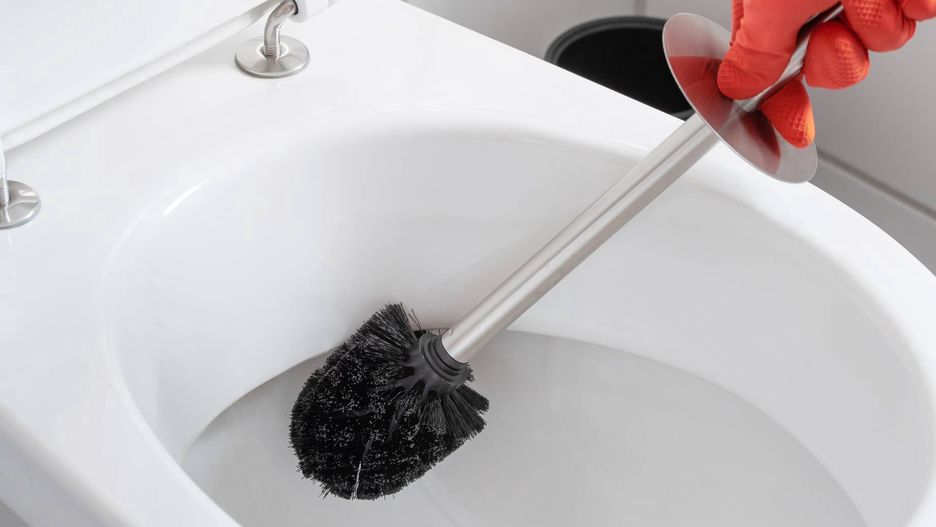 Szczotka do WC