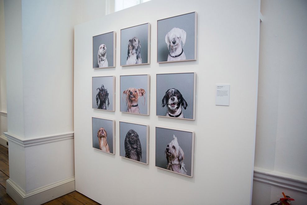 Sony World Photography Awards 2014 - relacja z wystawy i gali w Londynie 20