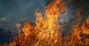 Jawor: Pożar przy torach zatrzymał pociąg
