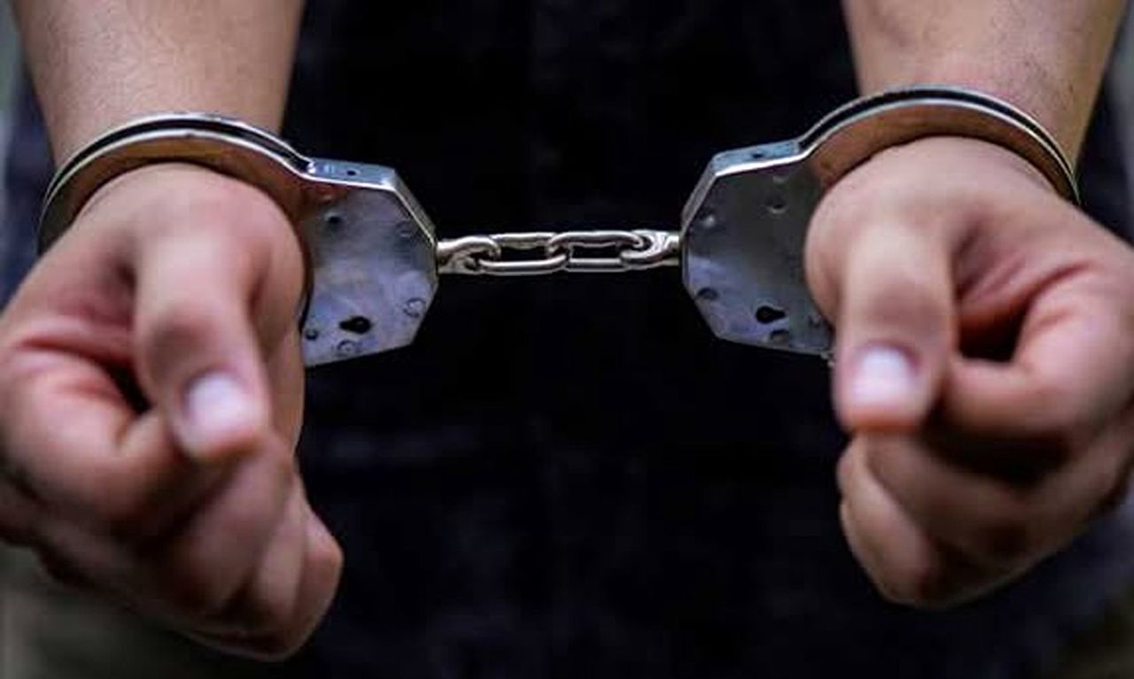 Rzeź alpak pod Pakością. Policja zatrzymała 47-latka na Mazowszu. To on mógł poderżnąć gardła zwierzętom