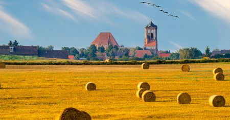 Tajemnicza śmierć żniwiarza. Ciało znaleziono po kilku dniach