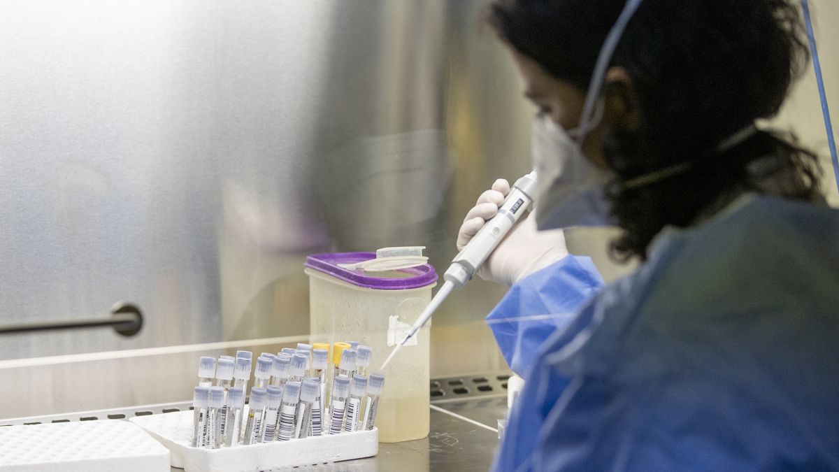 Naukowcy odkryli geny wpływające na przebieg COVID-19