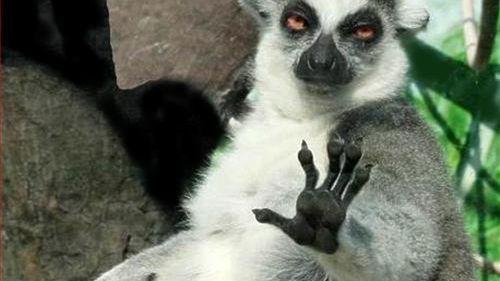 10 zasad komunikacji w Internecie 1