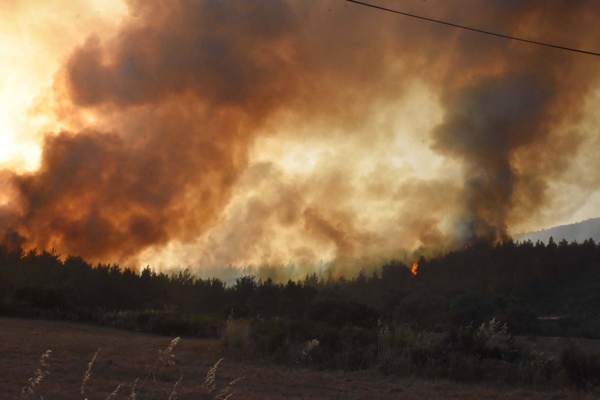Duże zagrożenie pożarowe lasów - ostrzega RCB. Zdjęcie ilustracyjne