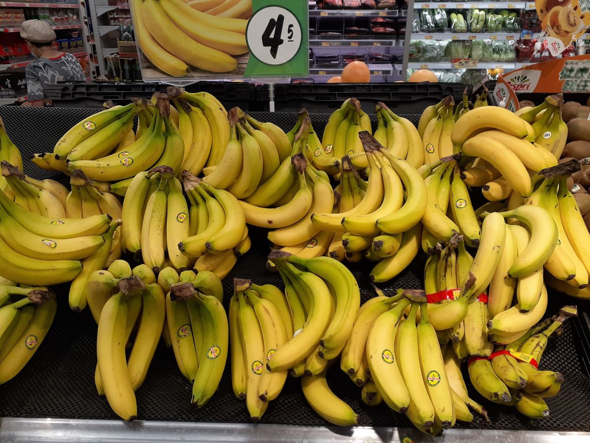 Czaił się w bananach w supermarkecie. Ugryzienie może zabić