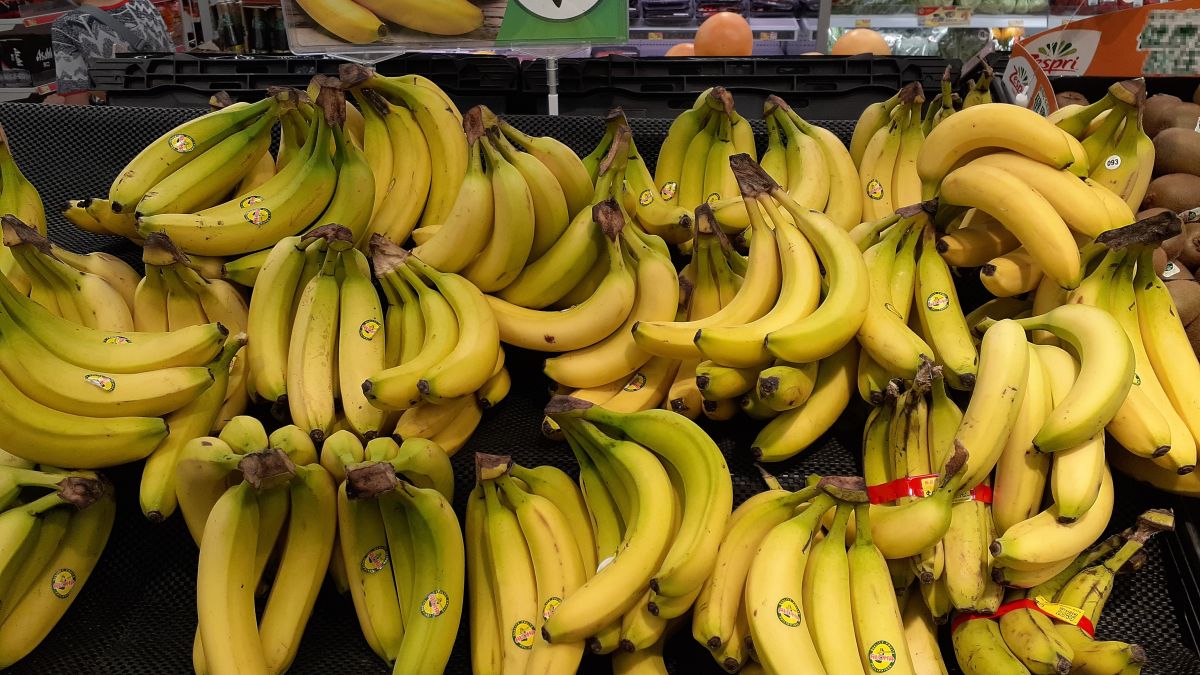 Groźny pająk ukrył się w supermarkecie