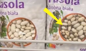 Taki widok w sklepie Auchan. Natychmiast zaczęła nagrywać
