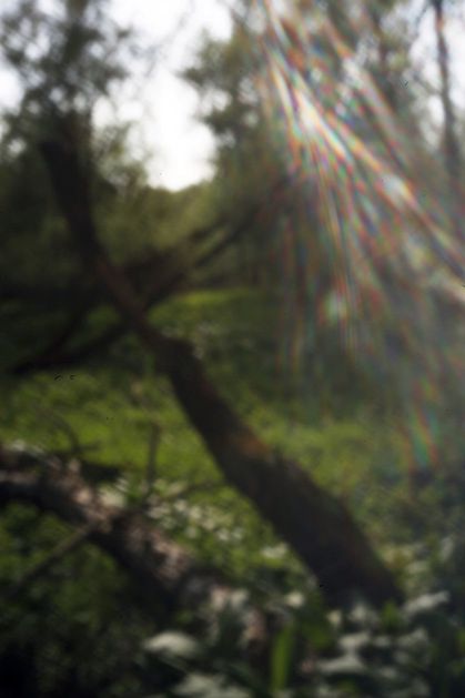 Zbuduj w kilka minut cyfrową camerę obscurę na Światowy Dzień Fotografii Otworkowej! 13