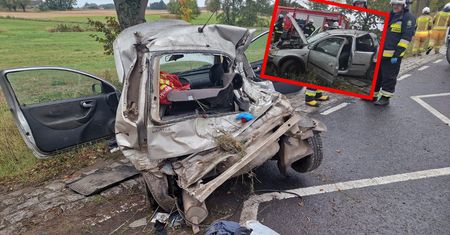 Dramat na drodze. Pijany 23-latek uderzył w drzewo