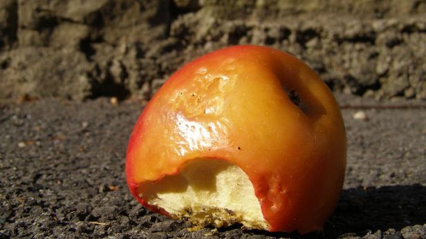 WTF dnia: Apple przedstawia nowego iPhone'a. Takiego samego jak stary [wideo] 1