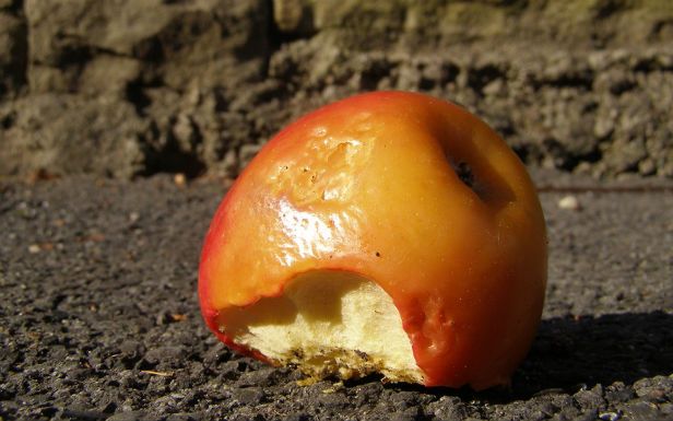 Jabłko (Fot. Flickr/ erix!/Lic. CC by)