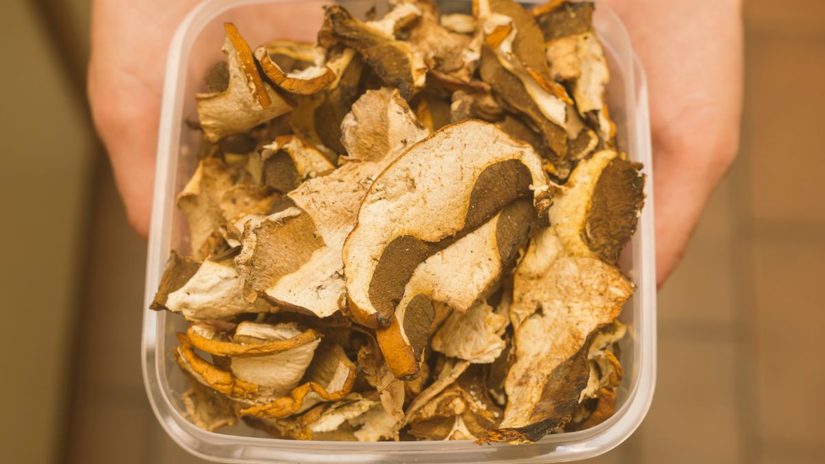 Suszone grzyby szybko się zepsują, jeśli będziesz je przechowywał w zły sposób