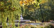 Legnica zyska milion złotych na rewitalizację i zabytki
