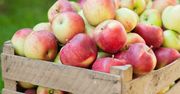 Jabłka. Jakie mają korzyści dla zdrowia i urody?