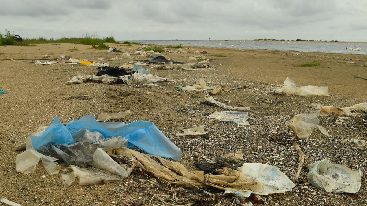 Plaża w rezerwacie Mewia Łacha pełna śmieci wyrzuconych przez morze