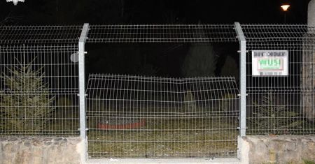 Przeskoczyli przez ogrodzenie ZOO, kiedy to było zamknięte. Wcześniej spożywali alkohol