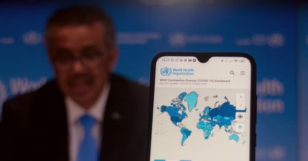 WHO. Dzięki pandemii półkula południowa uniknęła innej choroby