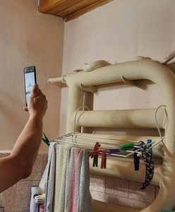 Szok w Poznaniu. Pyton wszedł do łazienki