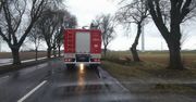 Konar drzewa zatarasował drogę