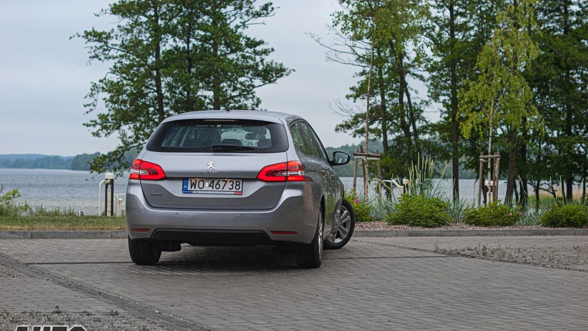 Zdjęcie ilustracyjne do artykułu