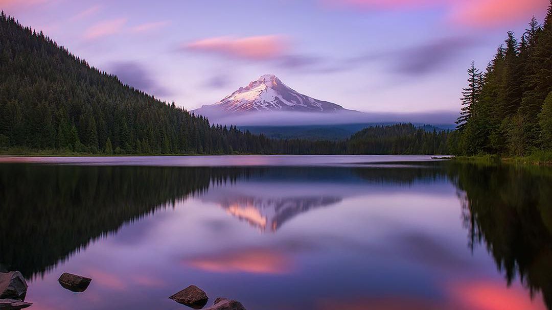 Po 8 latach eksperymentowania z fotografią, ten fotograf odnalazł swoją estetykę we mgle 1