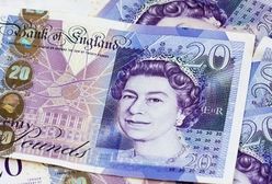 Bank Anglii: olej palmowy zamiast łoju zwierzęcego w banknotach. Orangutany nie będą zadowolone