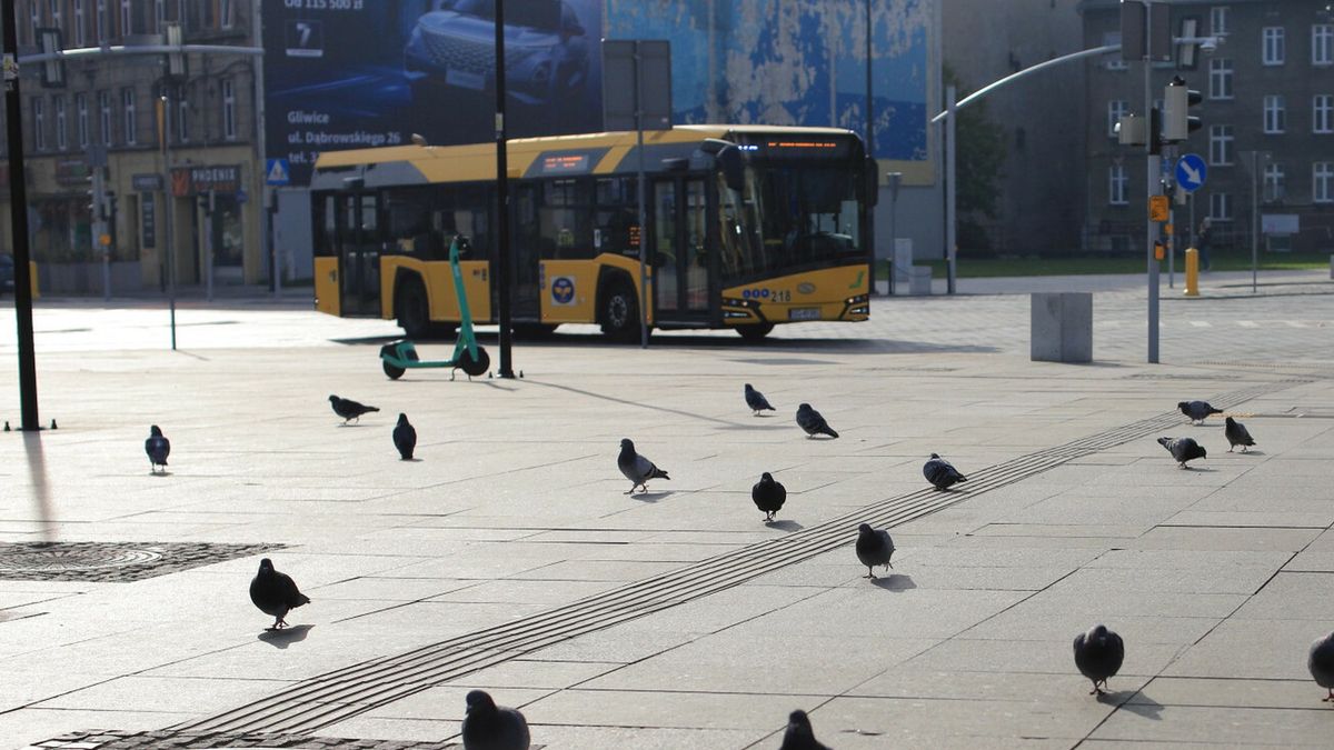 Kierowcy w Gliwicach mają zmniejszane wynagrodzenia