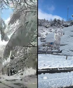 Portugalia sparaliżowana. Takiej sytuacji nie było od lat