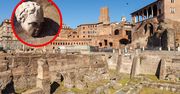 Wyjątkowe odkrycie na Forum Trajana w Rzymie. Archeolodzy znaleźli marmurową głowę