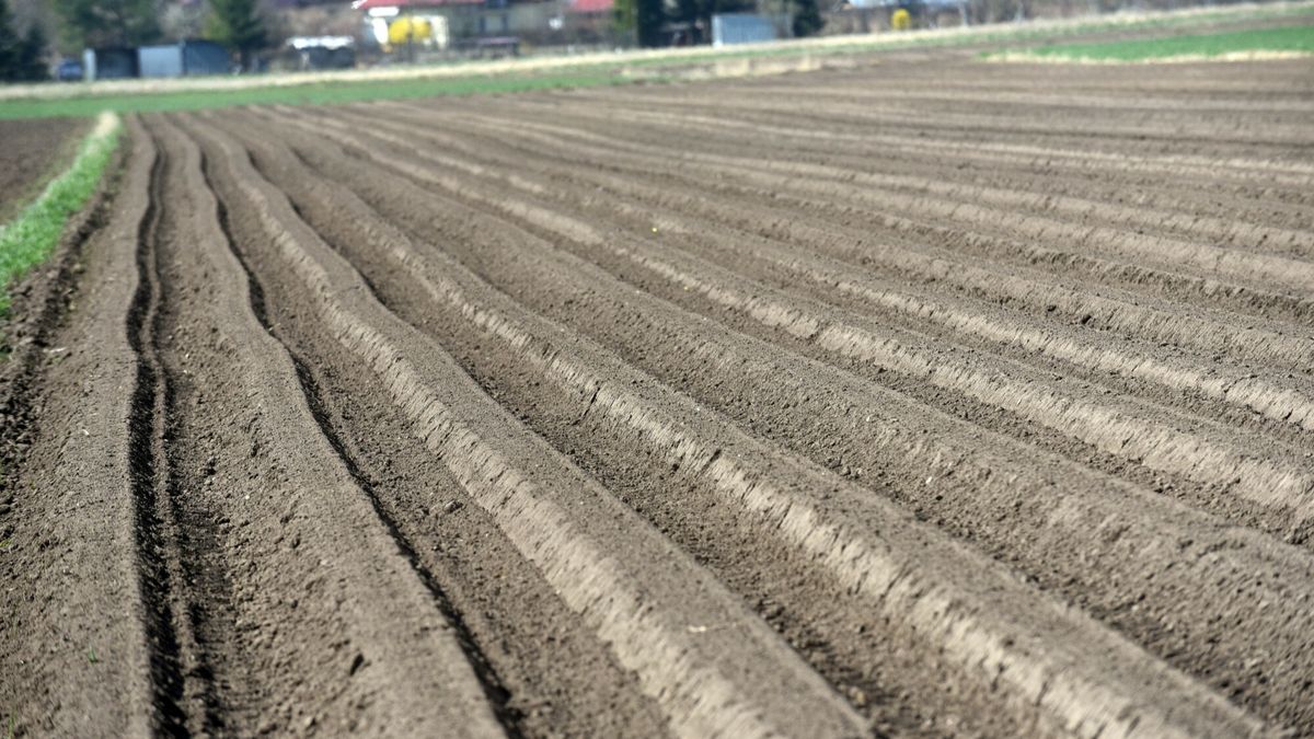 Wiosenne prace polowe na polach nowohuckich14.04.202 Krakow- Nowa Huta.  N/z Nowohuckie pola uprawne wiosna. Wiosenne prace polowe.  Fot. M.Lasyk/REPORTERM.Lasyk/REPORTER