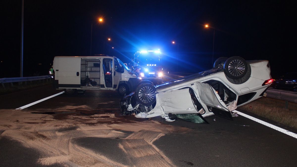 Przyczyną tego wypadku było wtargnięcie łosia na autostradę A4