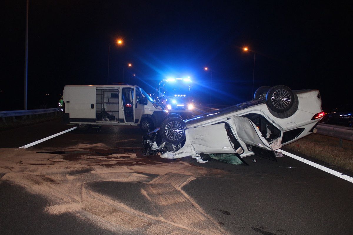 Przyczyną tego wypadku było wtargnięcie łosia na autostradę A4