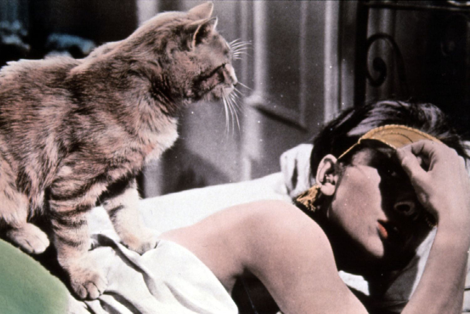 Sniadanie u Tiffany'ego
Breakfast at Tiffany's
Komedia, USA 1960
Audrey Hepburn
Fotografia: AKPA