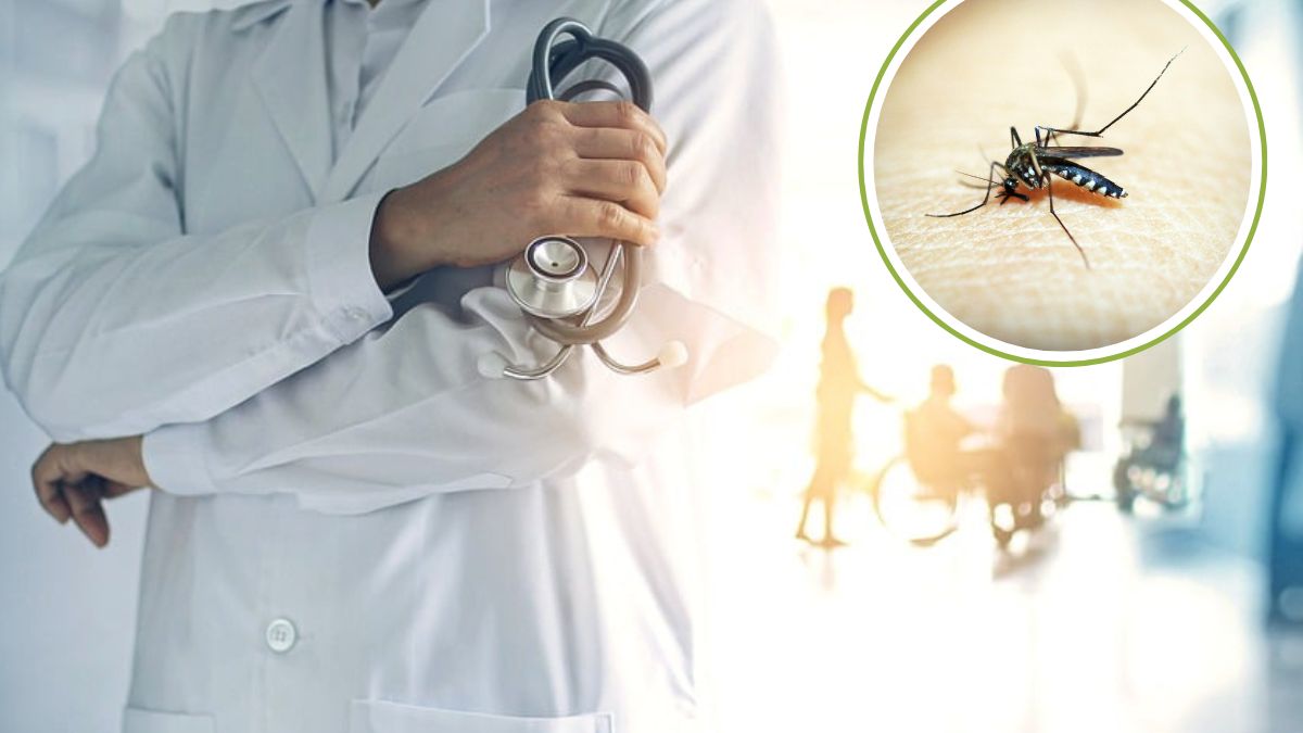 Argentyna walczy z największą od lat epidemią dengi