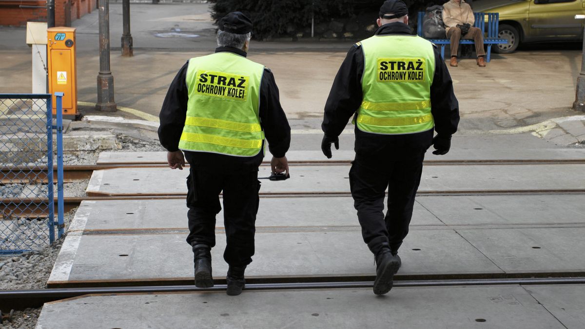 Straż Ochrony Kolei