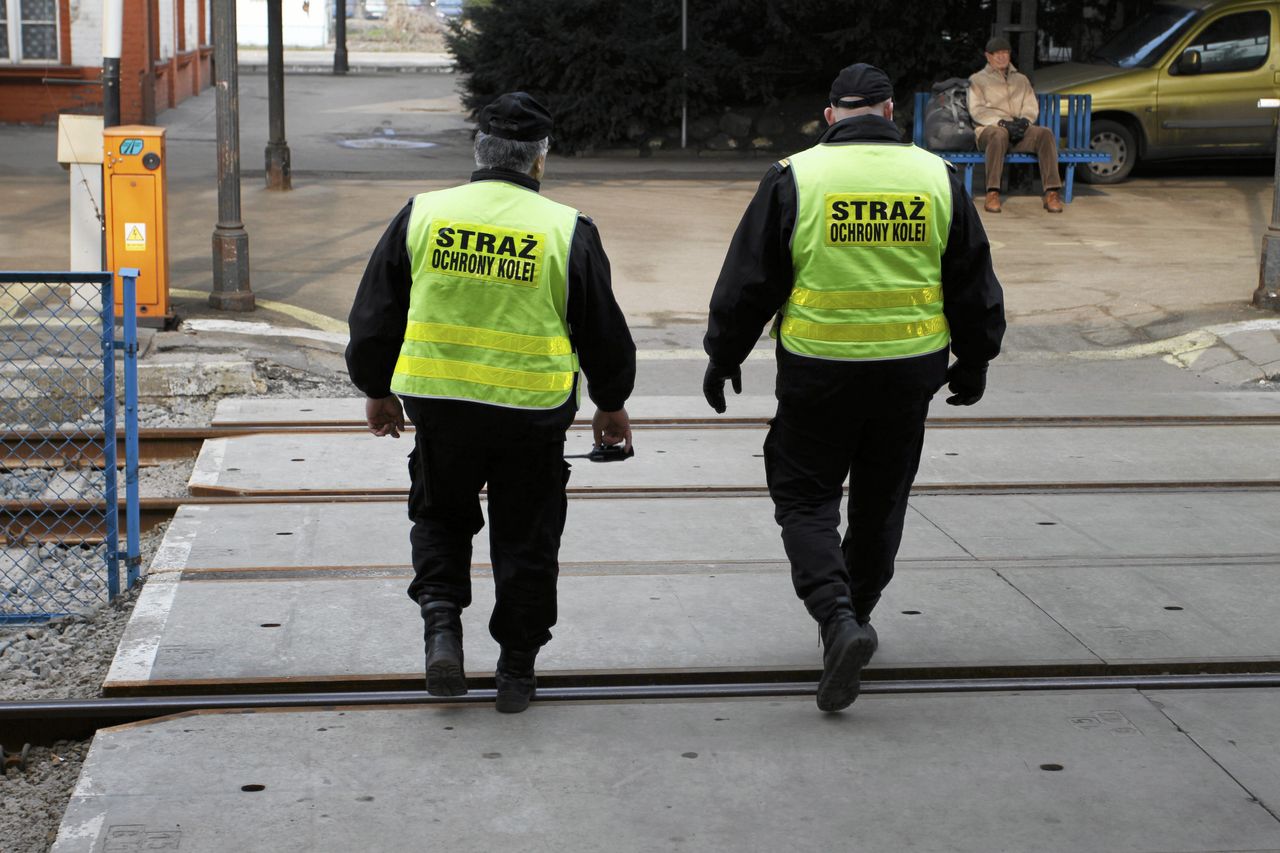 Szukają rąk do pracy. Zarobki do 20 tys. zł miesięcznie
