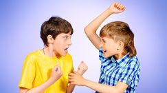 Największy problem wśród gimnazjalistów to przemoc słowna, nie fizyczna