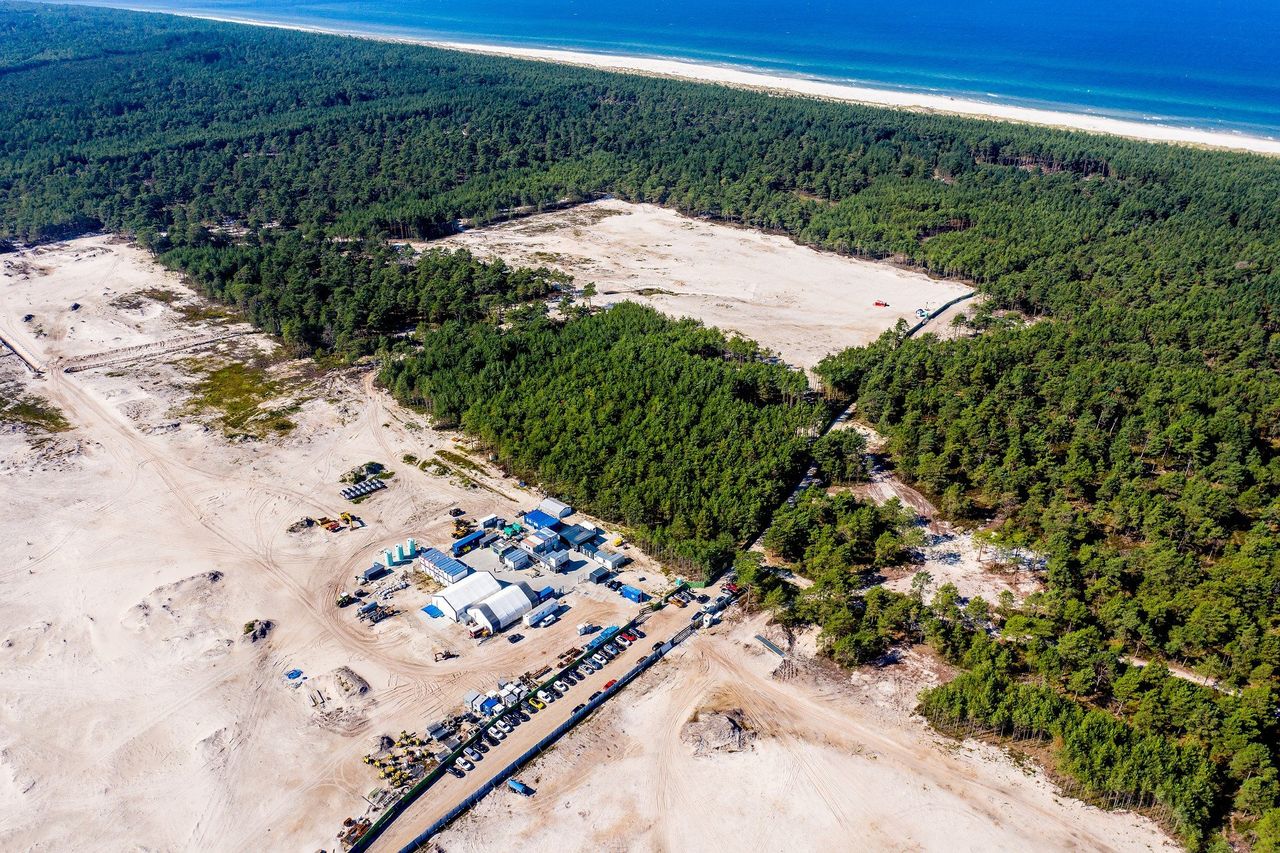 Spółka PEJ bada grunty pod budowę elektrowni. Wytnie 300 ha lasu