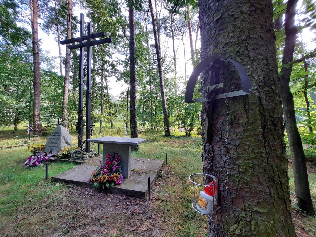 Dopiero w 2004 r.  w dębrzyńskim lesie postawiono kamień upamiętniający ofiary morderstw 