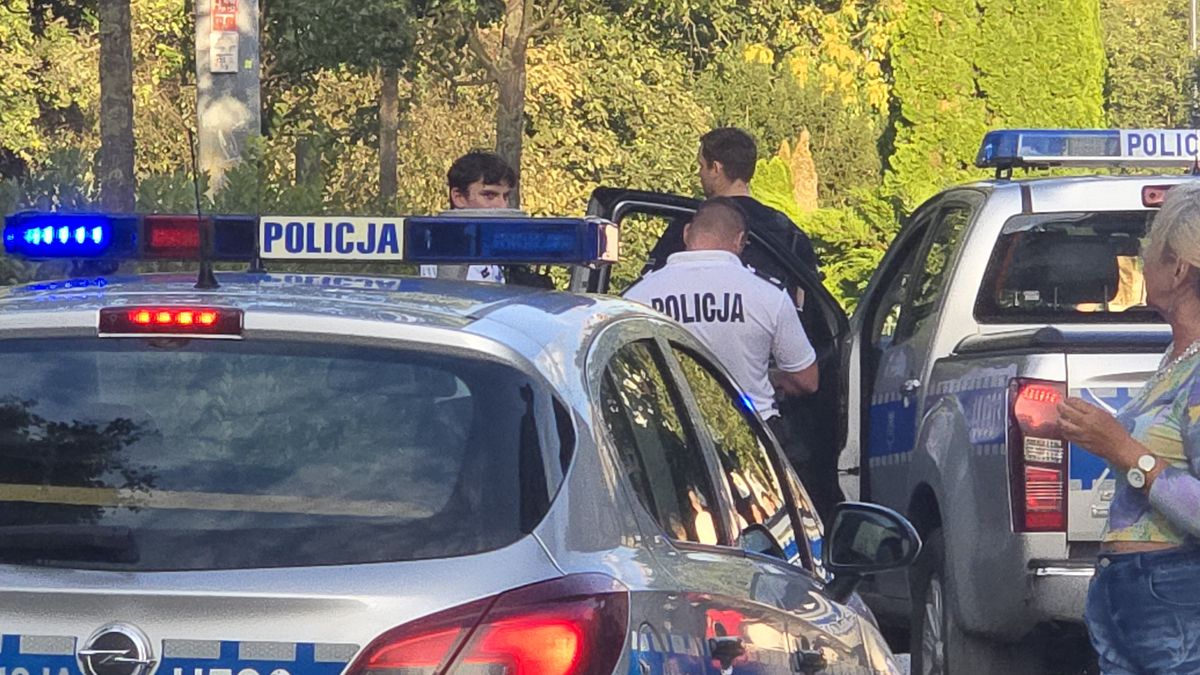 policja