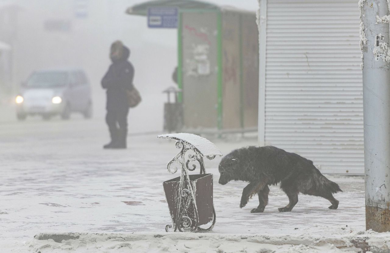 Blisko rekordu. Taką temperaturę odnotowano w Rosji