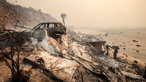 Skutki pożarów w Los Angeles. Znany trener stracił dom, studenci wściekli na uczelnie