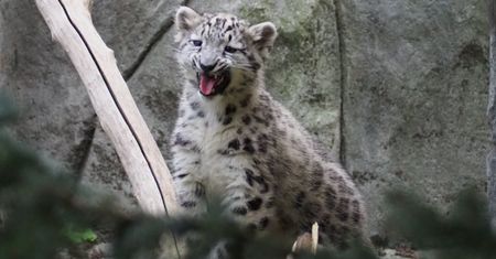 Pokazali zdjęcia. Jest apel. "Zachowajcie spokój"